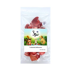 Suszu - Truskawka liofilizowana 20g 