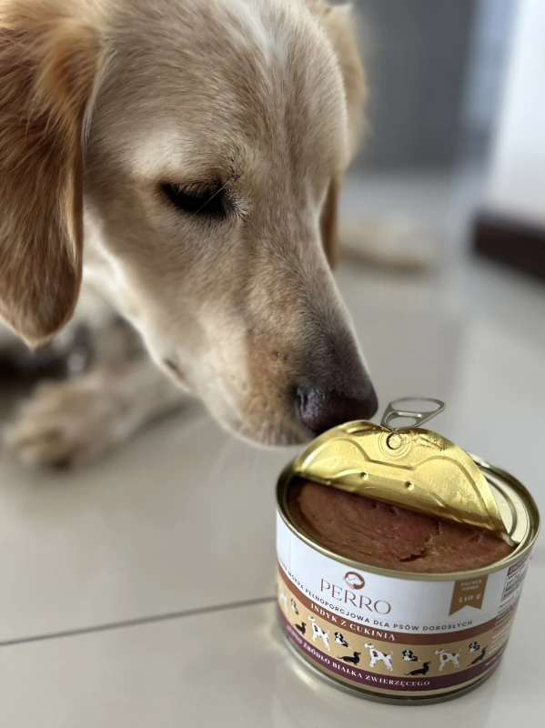 PERRO indyk z cukinią 410g
