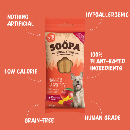 mango-maliny-soopa-dental1.png