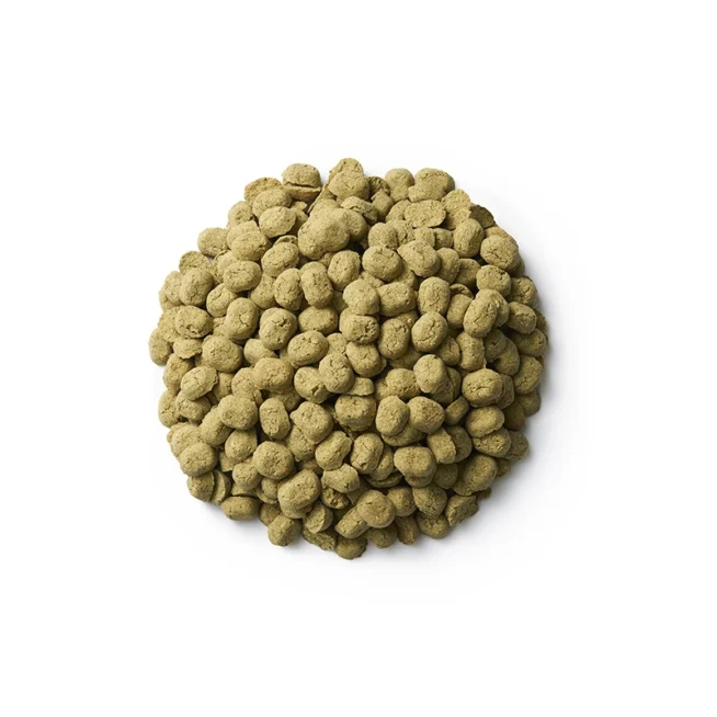 DD-ciasteczka-DZIK-bo-654x654.webp