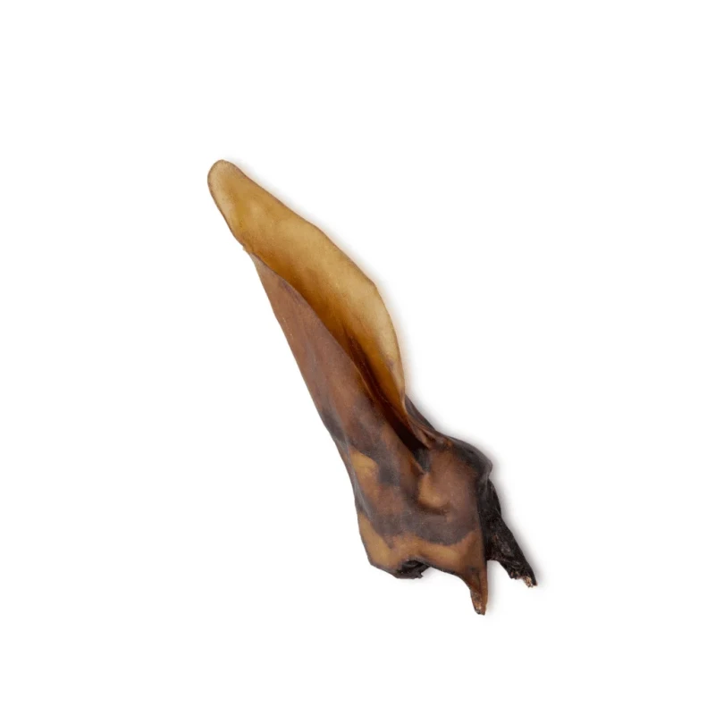 Ucho-sarny-1.2-1024x1024.webp