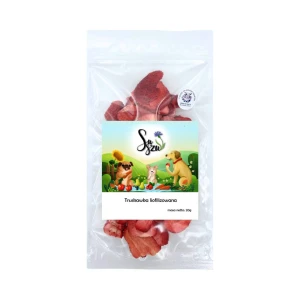Suszu - Truskawka liofilizowana 20g 