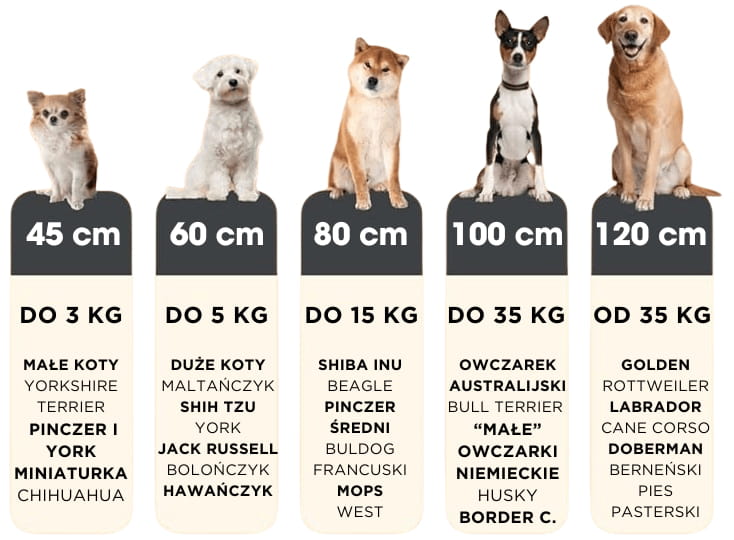 Tabela-rozmiarow-legowiska-dla-psa-kota-pluszowa-chmurka.jpg