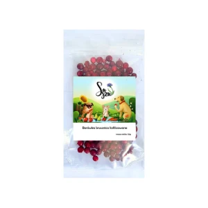 Suszu - Borówka brusznica liofilizowana 10g    