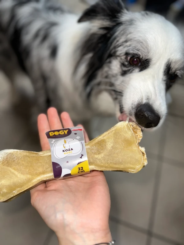 DOGY kość z kozą 22cm z Fibi_39.webp