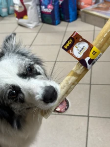 DOGY - Zwijka wołowa 40cm 