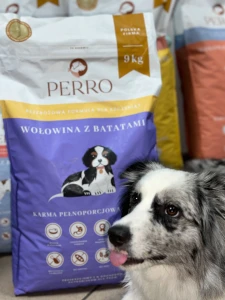 Karma sucha Junior wołowina z batatami – bezzbożowa formuła dla szczeniąt wszystkich ras 9kg