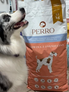 Karma sucha Wołowina z jagnięciną – bezzbożowa formuła dla psów dorosłych średnich i dużych ras 12kg