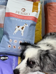 Karma sucha Indyk z batatami – bezzbożowa formuła dla psów dorosłych średnich i dużych ras 3kg