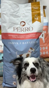 Karma sucha Indyk z batatami – bezzbożowa formuła dla psów dorosłych średnich i dużych ras 12kg