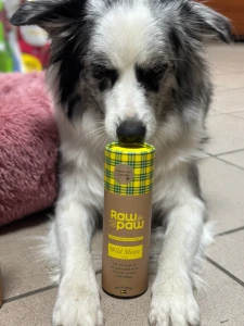 RAW for PAW WILD Moose - łoś liofilizowane przysmaki (45g)