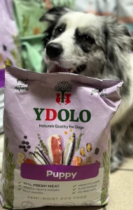 YDOLO Puppy - wieprzowina Iberico i ryby - karma półwilgotna dla szczeniąt (2,5kg)  