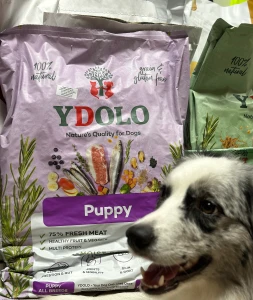 YDOLO Puppy - wieprzowina Iberico i ryby - karma półwilgotna dla szczeniąt (10kg)  