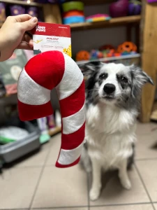 ZippyPaws Jigglerz Świąteczna Laska - pluszowa zabawka dla psa