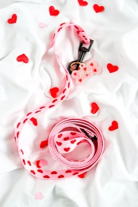 Puppymour - Smycz "Pink Love" 3m  