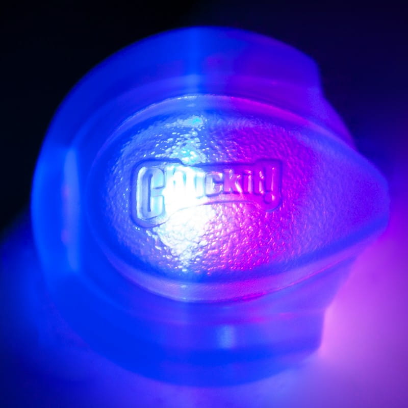 light-fetch-ball-medium.jpg