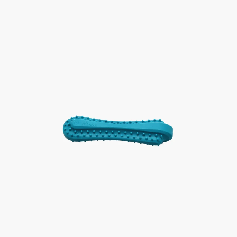 17.webp