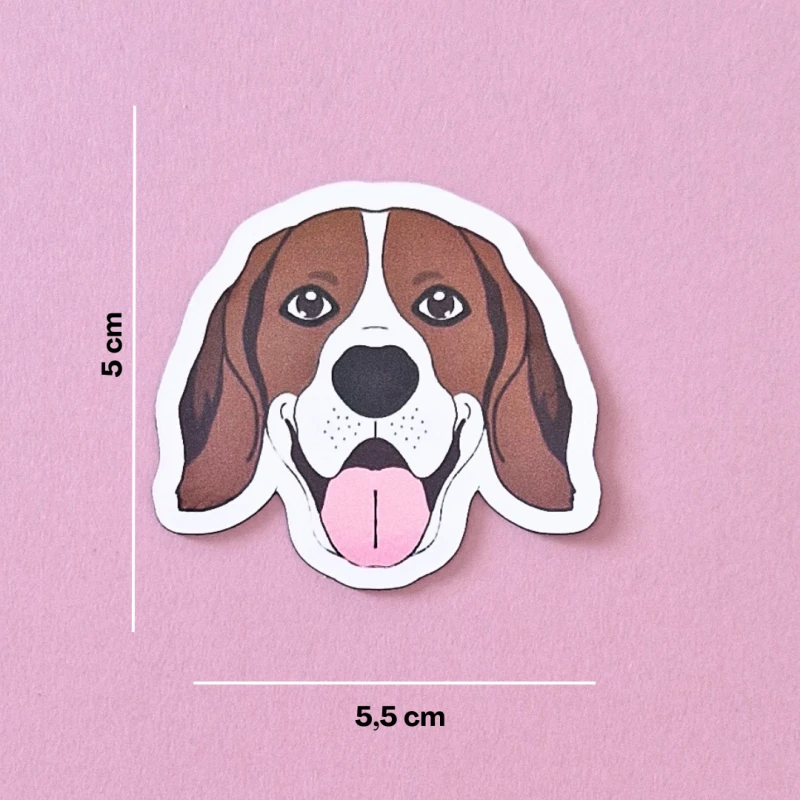 Magnes-Beagle.png