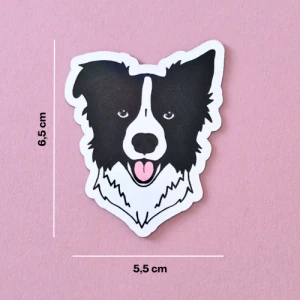 Magnes Border collie