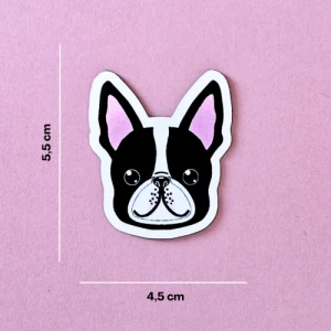 Magnes Boston terrier