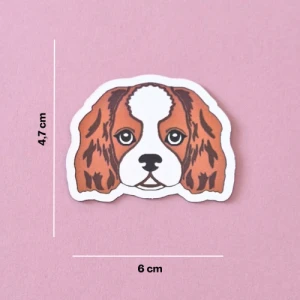 Magnes Cavalier Blenheim