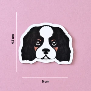 Magnes Cavalier Tricolor