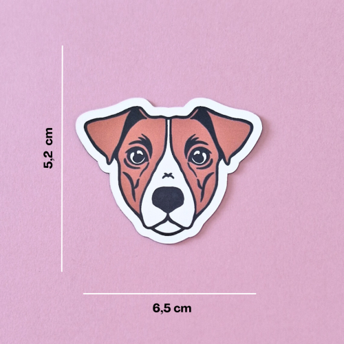 Magnes-Jack-Russell.png