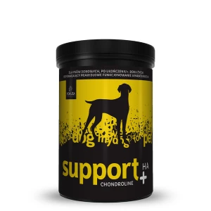 Pokusa - ChondroLine Support +HA dla psów dorosłych (350g)