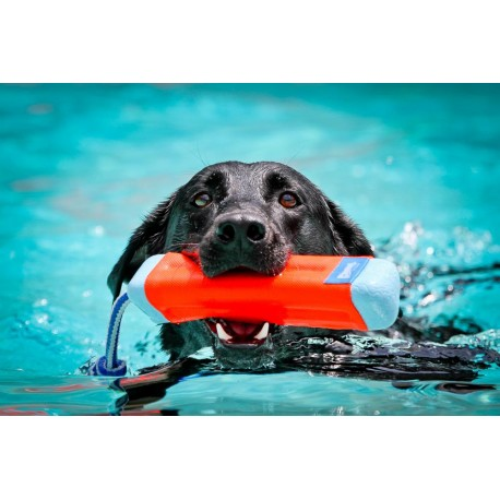 amphibious-bumper (2) (1).webp