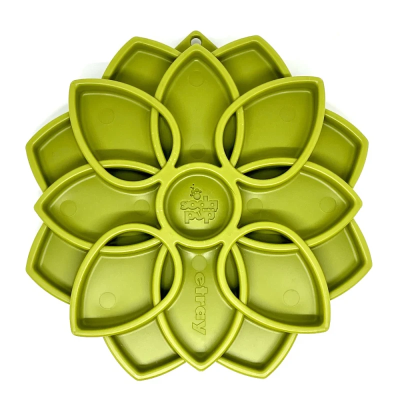 mandala-zielona.webp