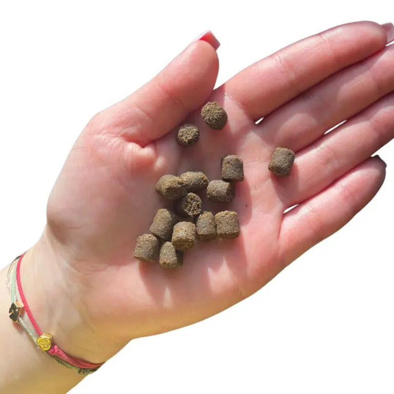 farma-królik-2kg2.webp