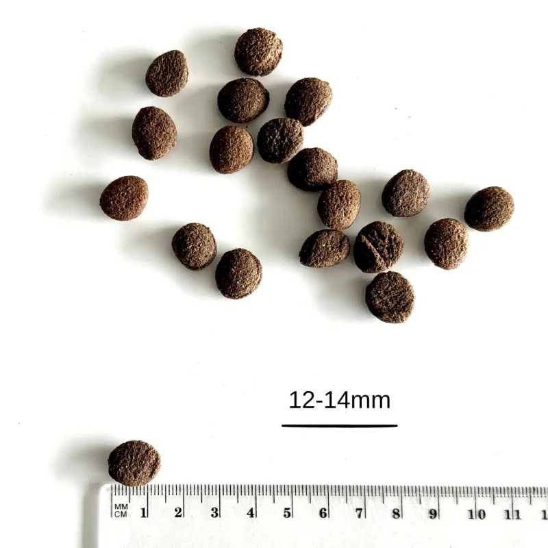 farma-łosoś-2kg3.webp