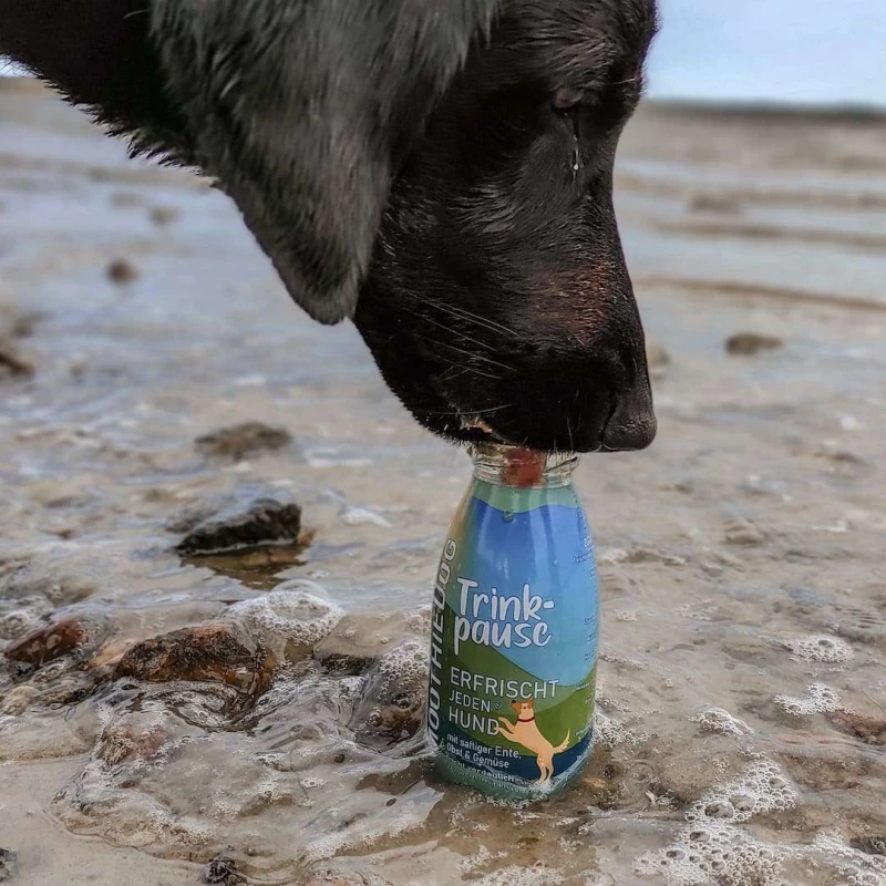 SmoothieDog-Duck-3-pak-3x250ml.jpg