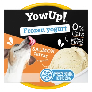 YOW UP! SALMON JOGURT DO MROŻENIA 110G