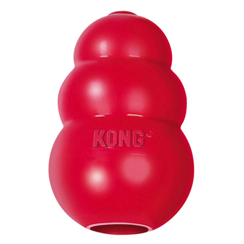 46452_pla_kong_classic_hs_01_2.jpg