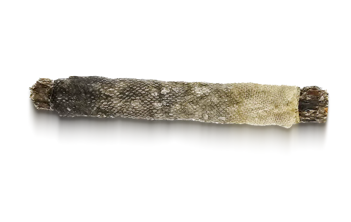 dorsz_konina_jagoda_z_cieniem.webp